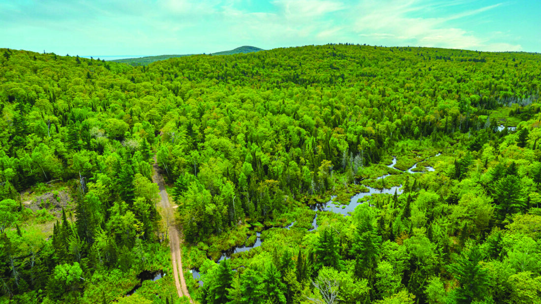 Keweenaw Heartlands sold News, Sports, Jobs The Daily News